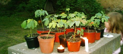 Vro tenskch klub 8.5.2006