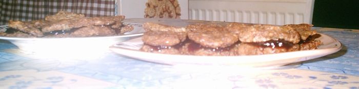 �aludov� dort