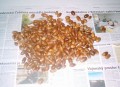 �aludov� dort - nasb�ran� �aludy