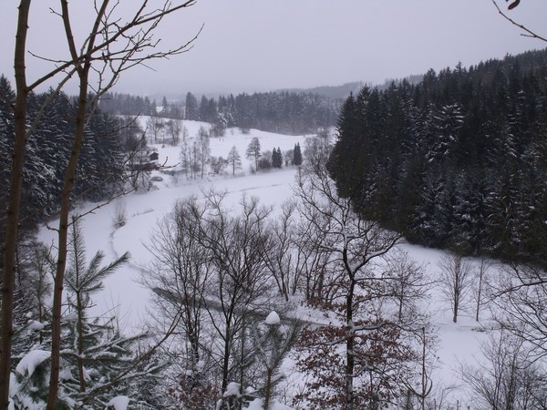 Slunen ztoka, leden 2010