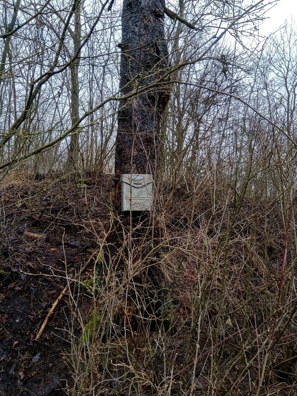 Hledejte bonusovou kapitolu knihy Ztracen na Nevdku