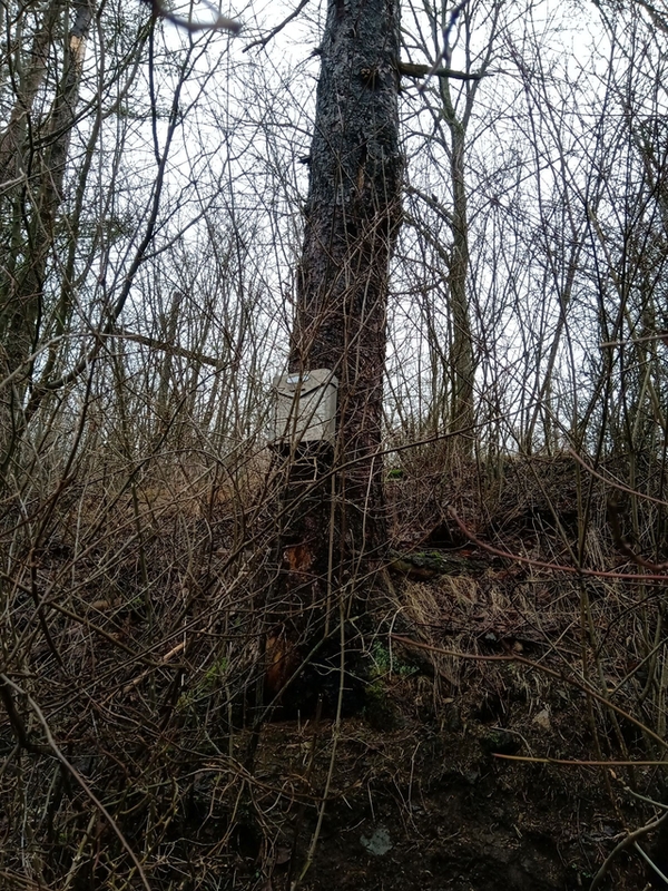 Hledejte bonusovou kapitolu knihy Ztracen na Nevdku