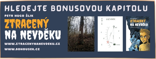 Hra Ztracen na Nevdku 