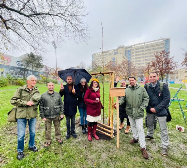 Szen stromu Jaroslava Foglara 18.11.2022