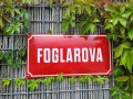 Foglarova - ernoice (2022)